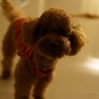 Kirby.2012.10.25-028.JPG