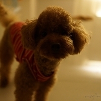 Kirby.2012.10.25-029.JPG