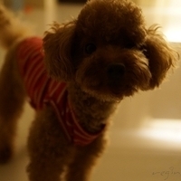 Kirby.2012.10.25-030.JPG