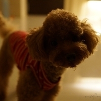 Kirby.2012.10.25-031.JPG