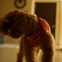 Kirby.2012.10.25-032.JPG