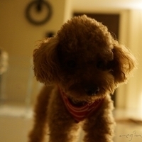 Kirby.2012.10.25-033.JPG