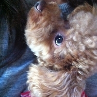 Kirby.2012.10.26-001.JPG