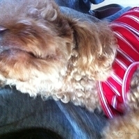 Kirby.2012.10.26-002.JPG