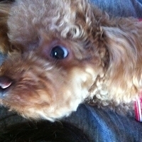 Kirby.2012.10.26-003.JPG