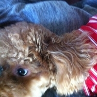 Kirby.2012.10.26-004.JPG