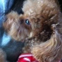 Kirby.2012.10.26-005.JPG
