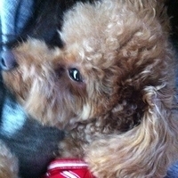 Kirby.2012.10.26-006.JPG