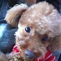 Kirby.2012.10.26-008.JPG