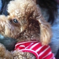Kirby.2012.10.26-009.JPG