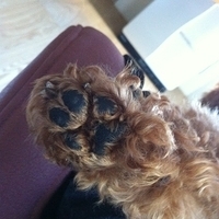 Kirby.2012.10.26-010.JPG