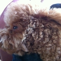 Kirby.2012.10.26-011.JPG