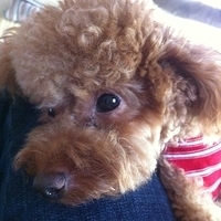 Kirby.2012.10.26-012.JPG