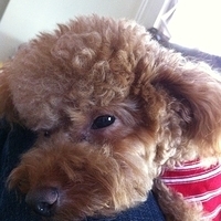 Kirby.2012.10.26-013.JPG