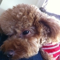 Kirby.2012.10.26-014.JPG