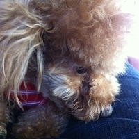 Kirby.2012.10.26-015.JPG