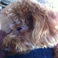 Kirby.2012.10.26-016.JPG