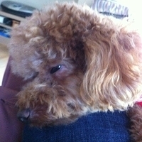 Kirby.2012.10.26-017.JPG