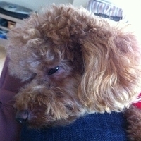 Kirby.2012.10.26-018.JPG