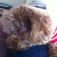 Kirby.2012.10.26-019.JPG