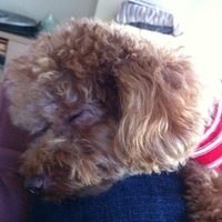 Kirby.2012.10.26-020.JPG