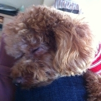 Kirby.2012.10.26-021.JPG