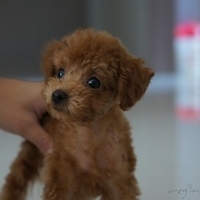 Kirby.2010.09.05-001.JPG