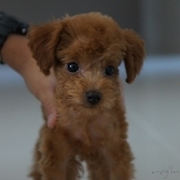 Kirby.2010.09.05-002.JPG