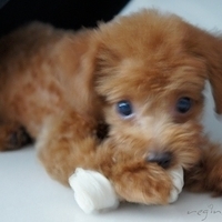 Kirby.2010.09.05-003.JPG