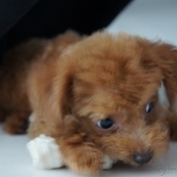 Kirby.2010.09.05-004.JPG