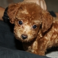 Kirby.2010.09.05-006.JPG