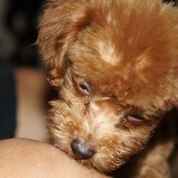 Kirby.2010.09.05-007.JPG