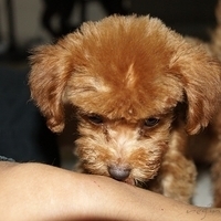 Kirby.2010.09.05-008.JPG
