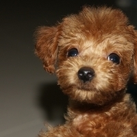 Kirby.2010.09.05-009.JPG
