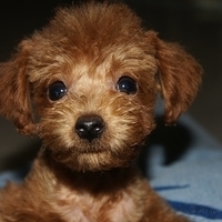 Kirby.2010.09.05-010.JPG