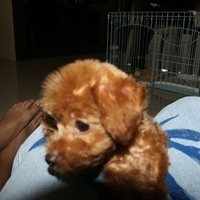 Kirby.2010.09.05-011.JPG
