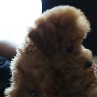 Kirby.2010.09.05-013.JPG
