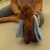 Kirby.2010.09.15-003.JPG