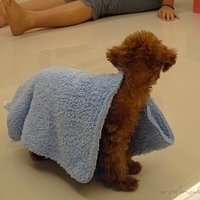 Kirby.2010.09.15-004.JPG
