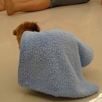 Kirby.2010.09.15-005.JPG