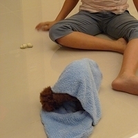 Kirby.2010.09.15-007.JPG