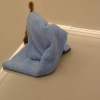 Kirby.2010.09.15-008.JPG