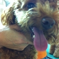 Kirby.2011.09.03-001.JPG