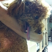 Kirby.2011.09.03-002.JPG