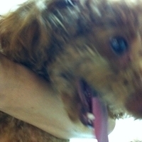 Kirby.2011.09.03-004.JPG