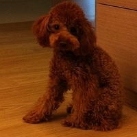 Kirby.2011.09.08-001.JPG