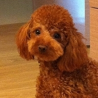 Kirby.2011.09.08-002.JPG
