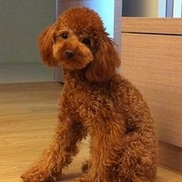 Kirby.2011.09.08-004.JPG