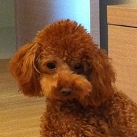 Kirby.2011.09.08-005.JPG
