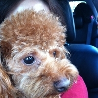 Kirby.2011.09.10-001.JPG